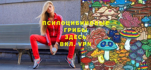 мескалин Покров