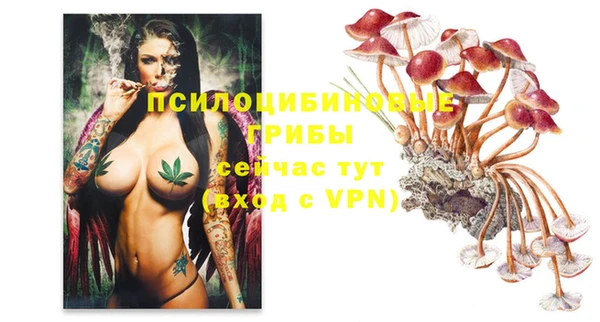 мескалин Покров